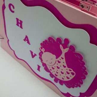 It's A Girl Scrapbook