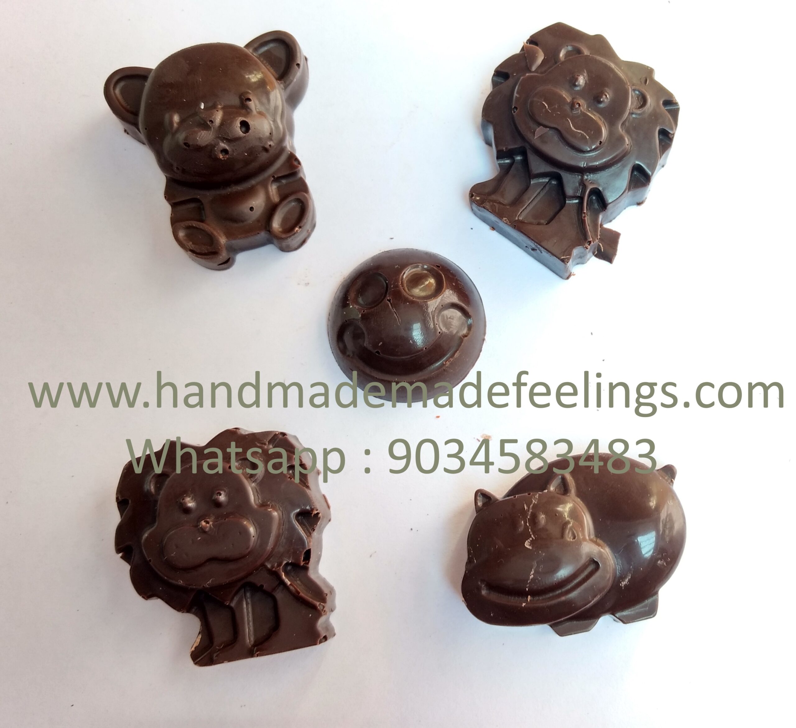 Handmade Chocolates - Jungle Theme Chocolates 12 pcs 1 Handmade Chocolates - Jungle Theme Chocolates 12 pcs
